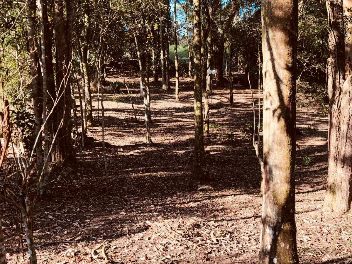 Chacara Quinta Dos Esquilos Villa Cotia  Eksteriør billede